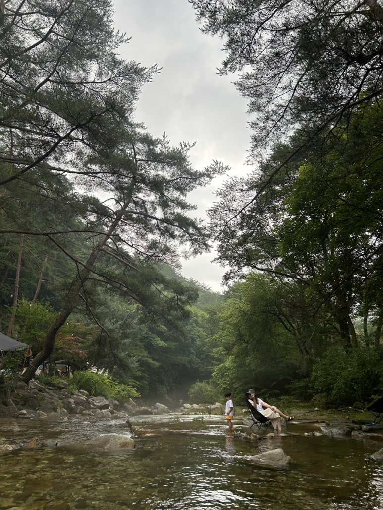 산골캠핑장 이미지