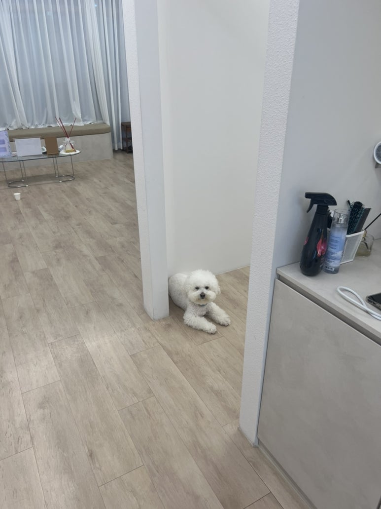 이뽐뷰티 강화점 이미지