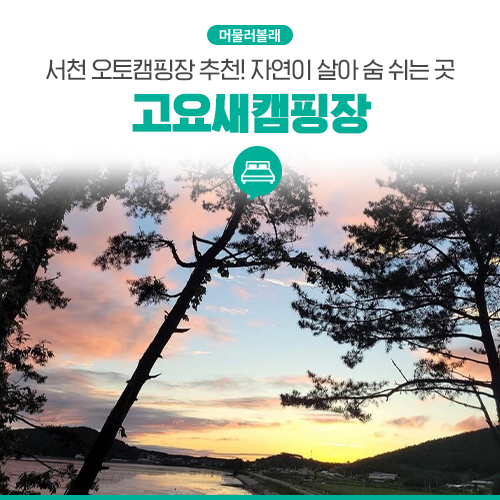 고요새캠핑장 이미지