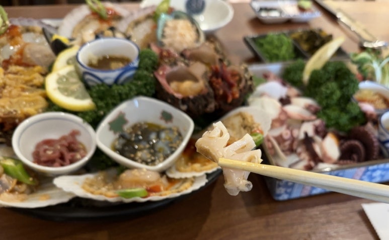 평화로운집공주신관점 이미지