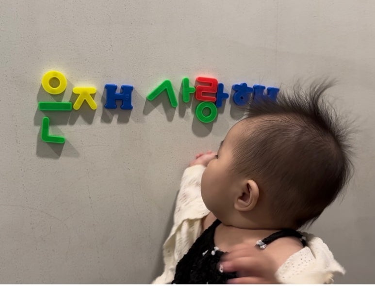 다담이 이미지