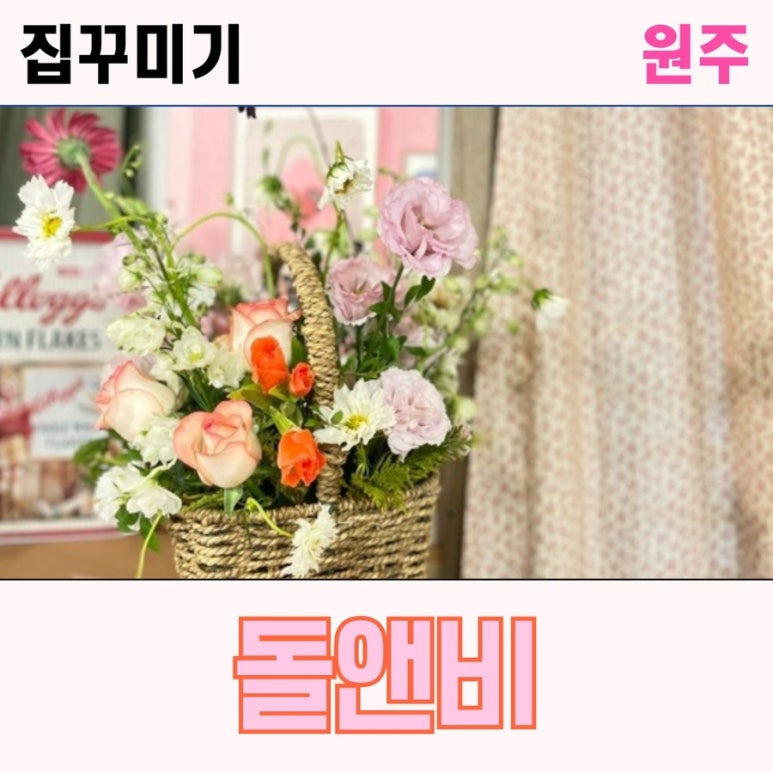 돌앤비 이미지