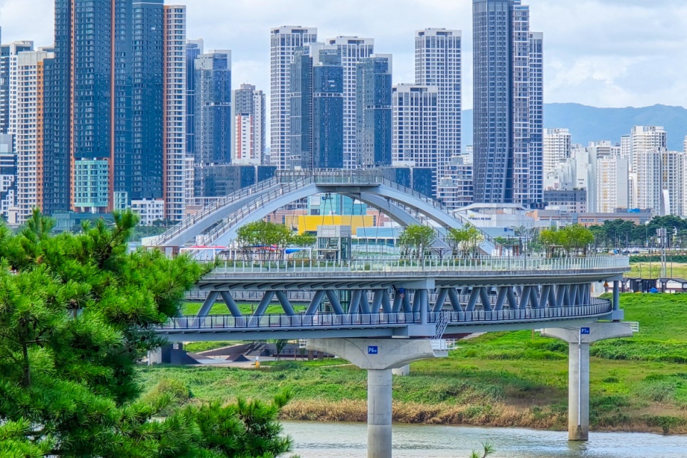 스텔라온 이미지