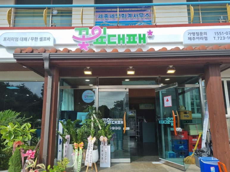 제주대패 이미지
