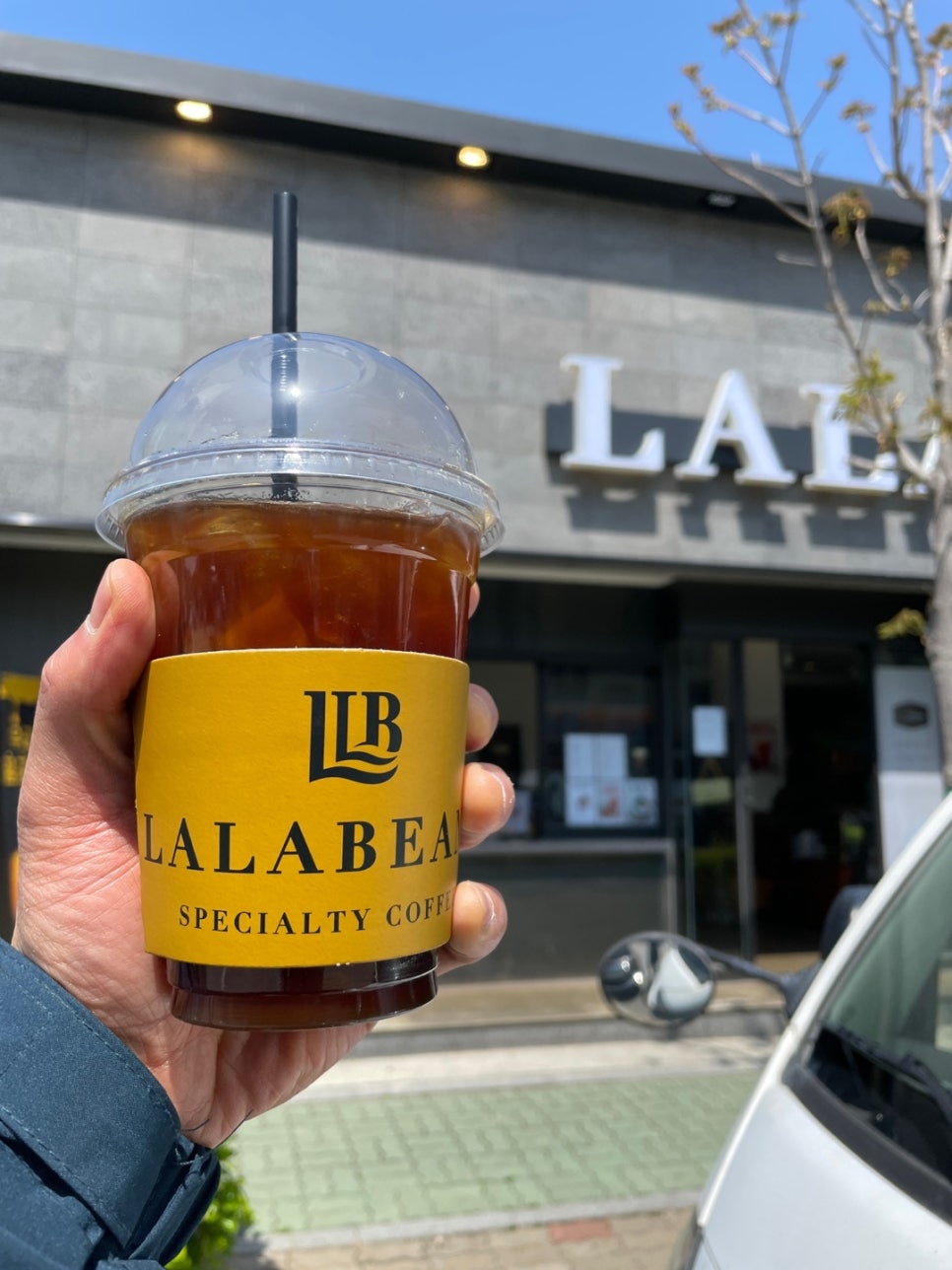 라라빈스 이미지