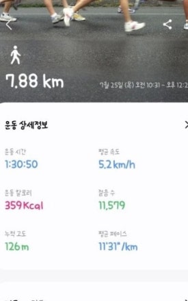 우리밀과자점해밀 이미지