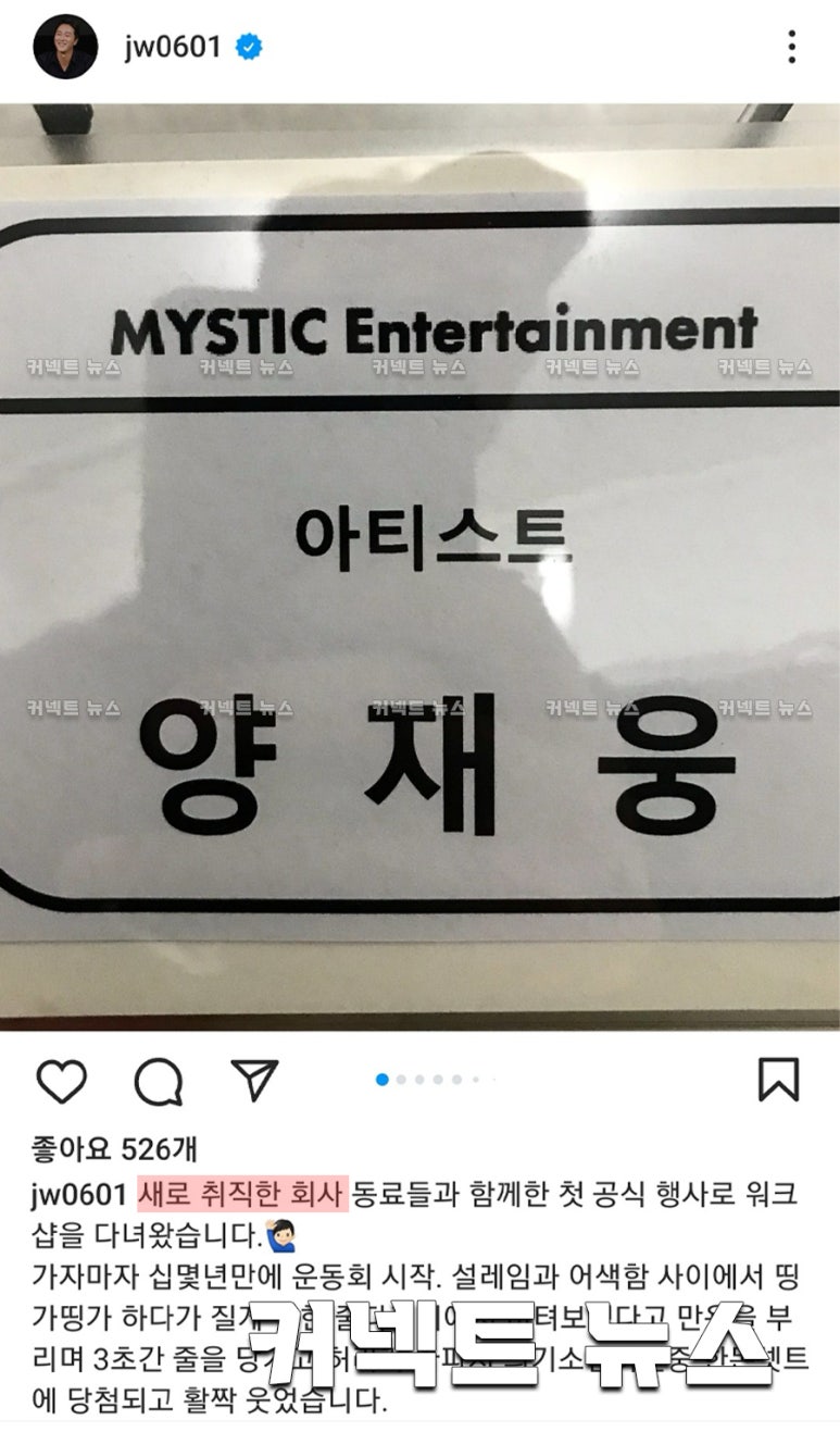 미스틱브로 이미지