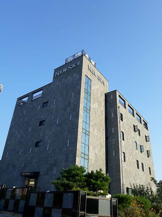 뉴스카이 이미지