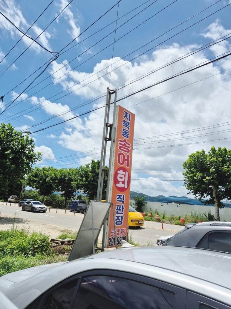지북동송어 이미지