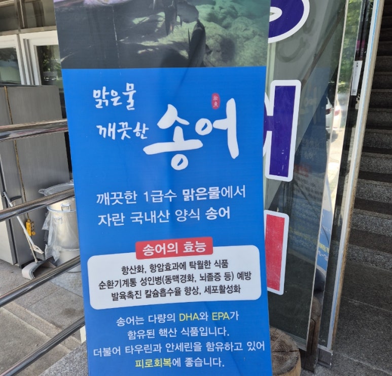 지북동송어 이미지