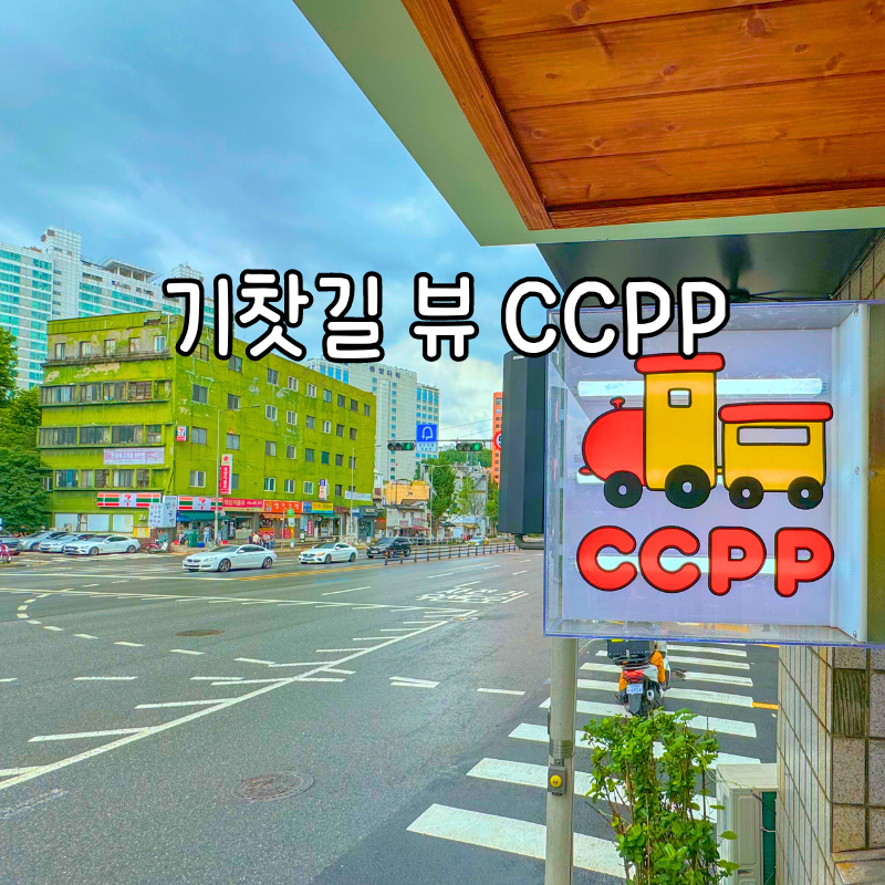 씨씨피피 이미지