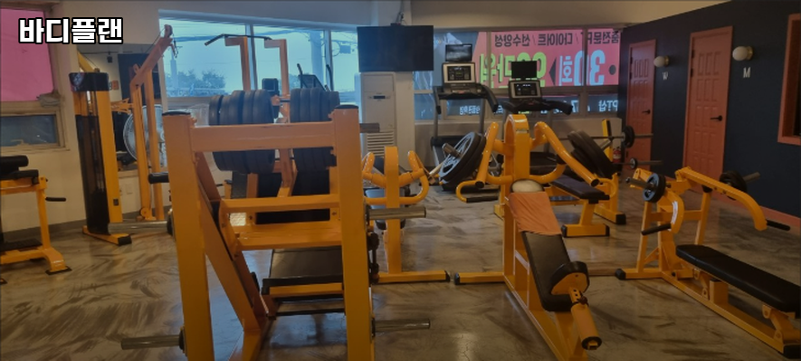 바디플랜 이미지