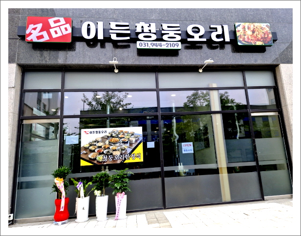 이든청둥오리 이미지
