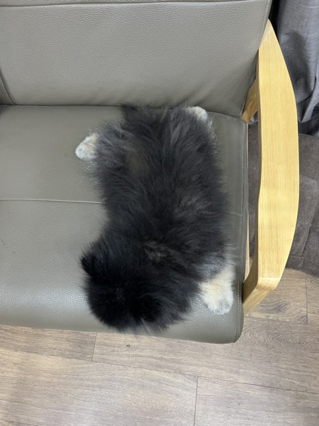 네일;모들 이미지