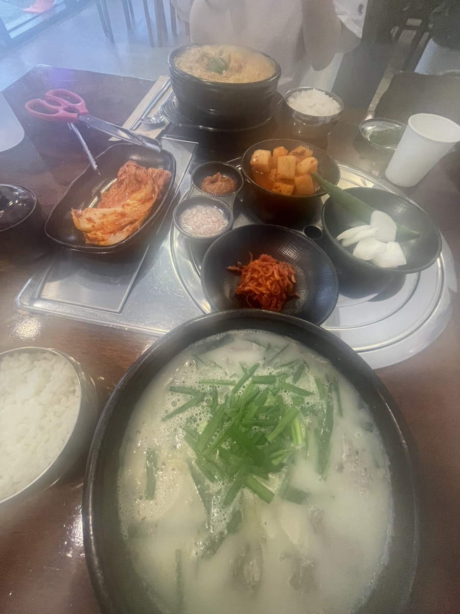 엘앰 이미지