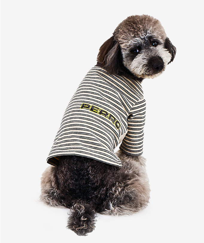 빼로(perro) 이미지