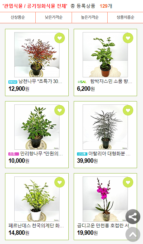 소담꽃 이미지