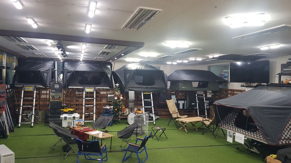 슈퍼텐트칼라 이미지