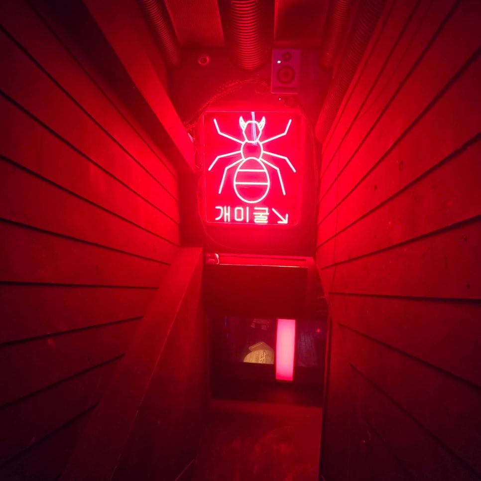 앤트홀 사진 5