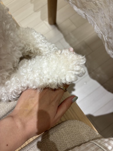 거두포차 이미지