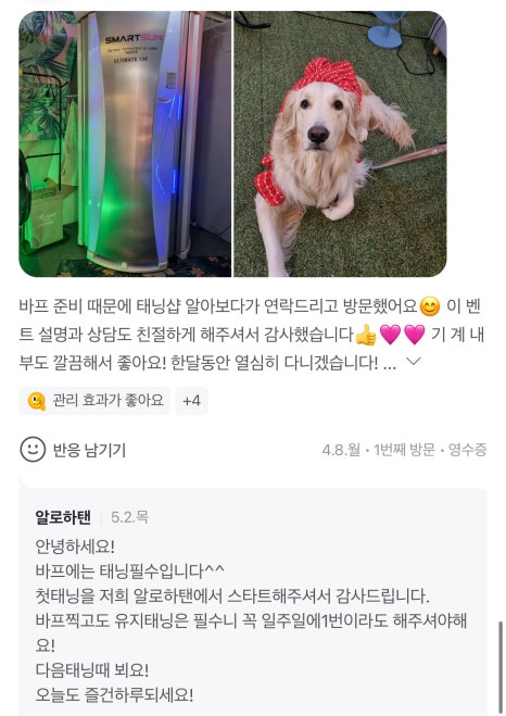 알로하탠 이미지