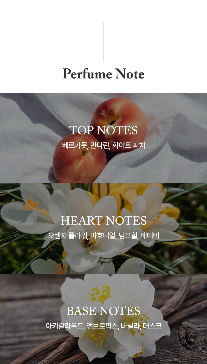 님프플라워 이미지