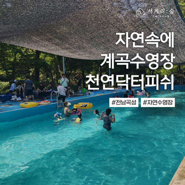서계리숲 이미지