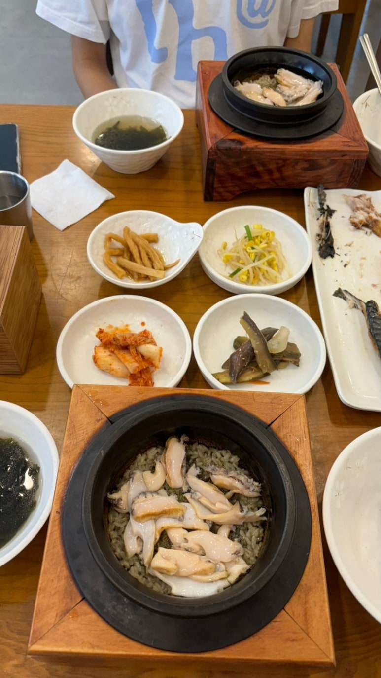 제주따이 이미지