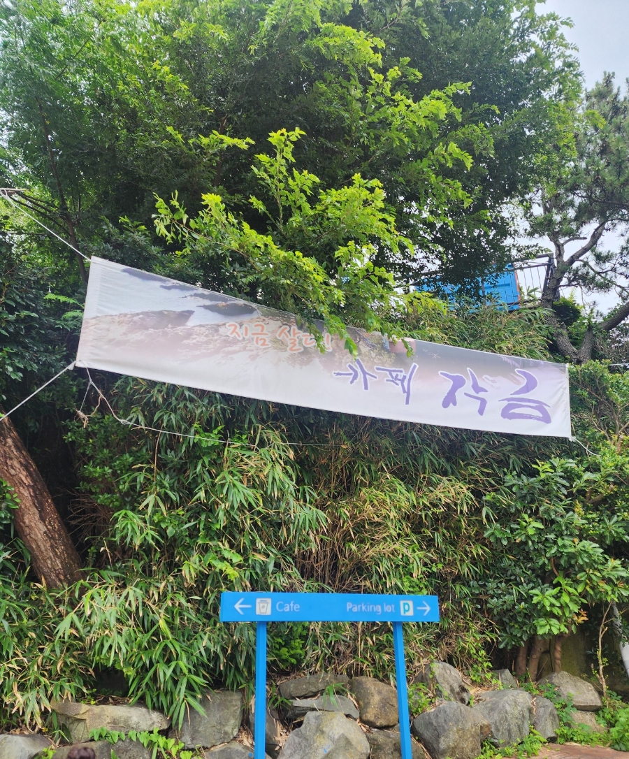차올라카페 이미지