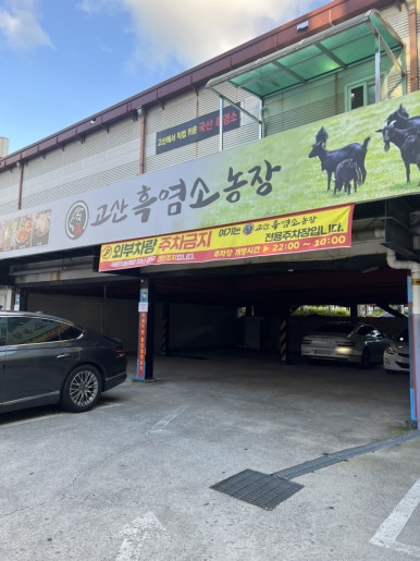 고산흑염소 이미지