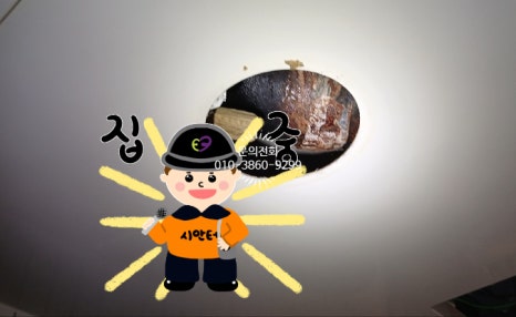 무지개전기조명 이미지
