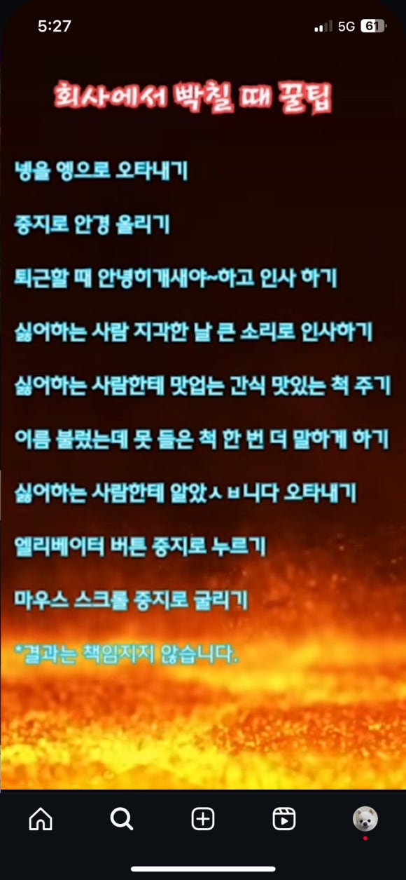 마님 이미지