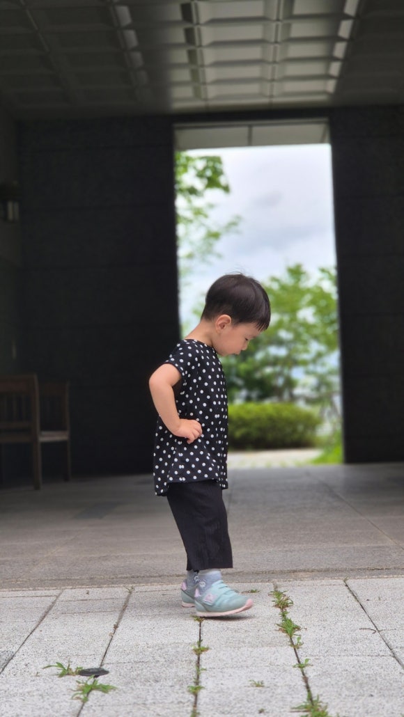 르베쥬베베 이미지
