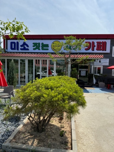 미소짓는돼지 이미지