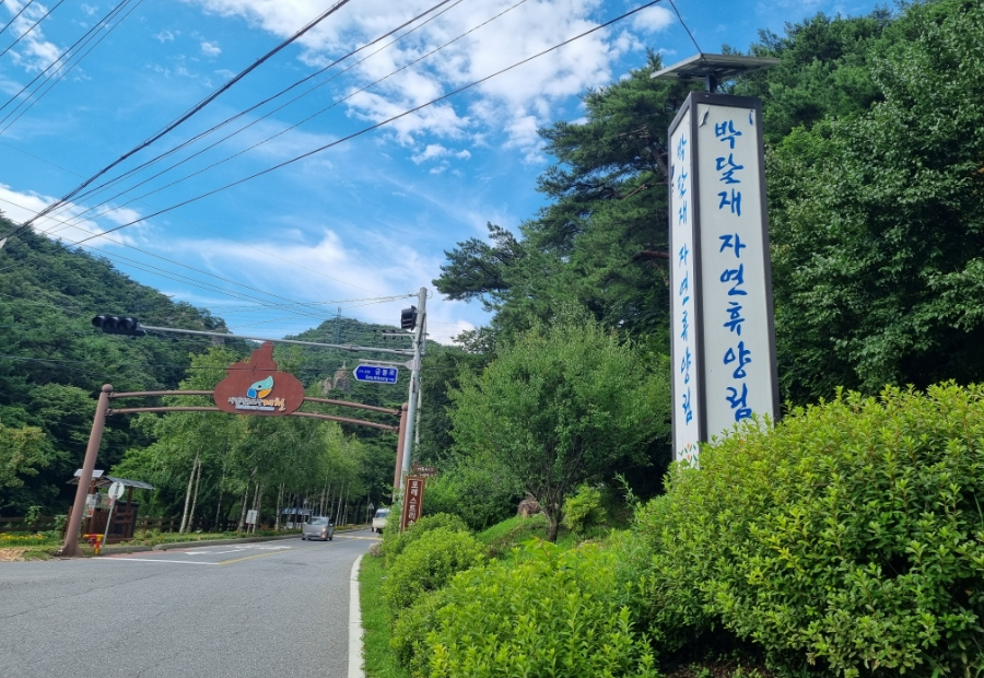 박달재자연휴양림야영장 이미지
