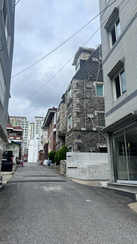 화이트빌헤어 이미지