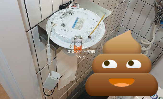 무지개전기조명 이미지