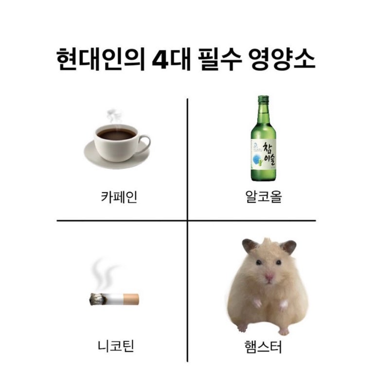 도라 이미지