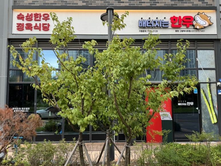 배터지는한우 동탄점 이미지