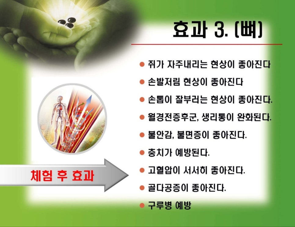 바이오포톤 이미지
