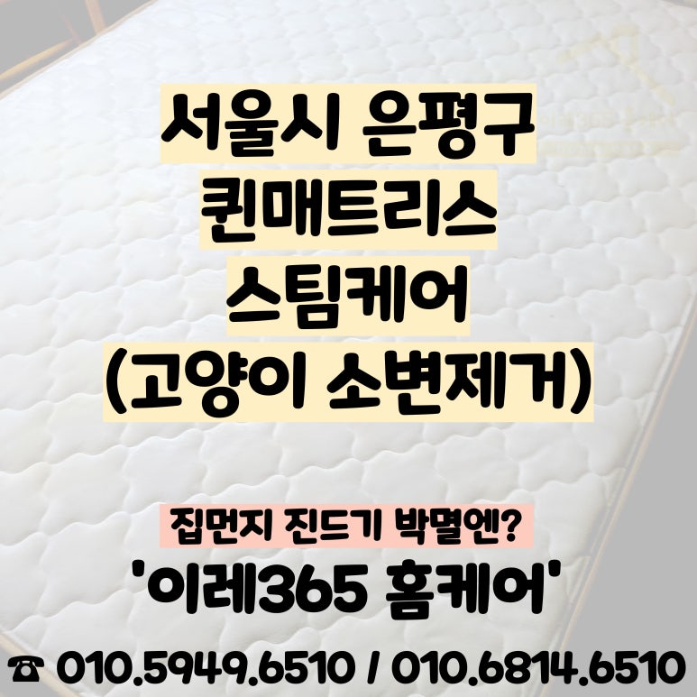 이레365홈케어 이미지