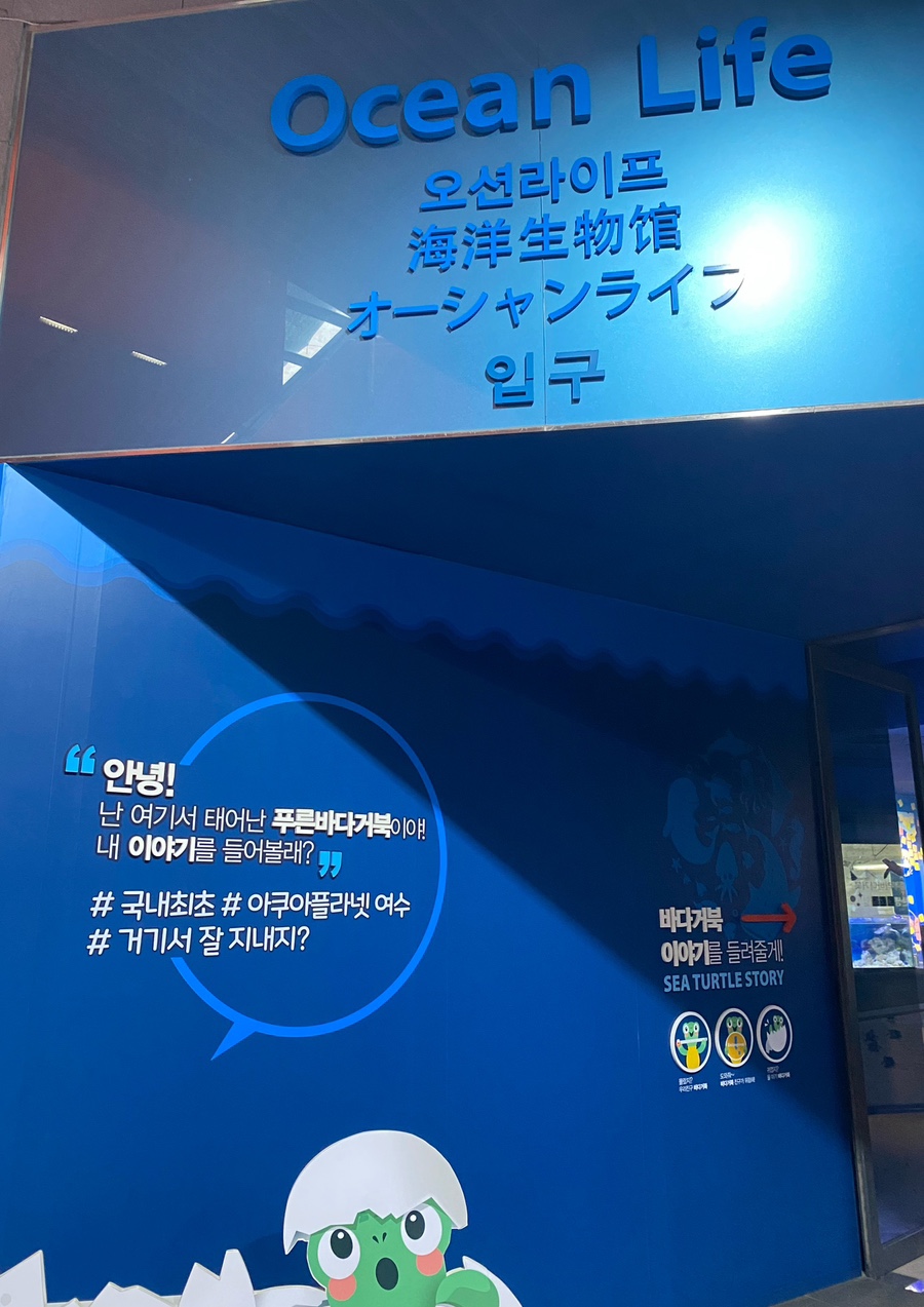 트렌디플라넷 이미지