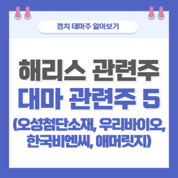 비엔씨코퍼레이션 이미지