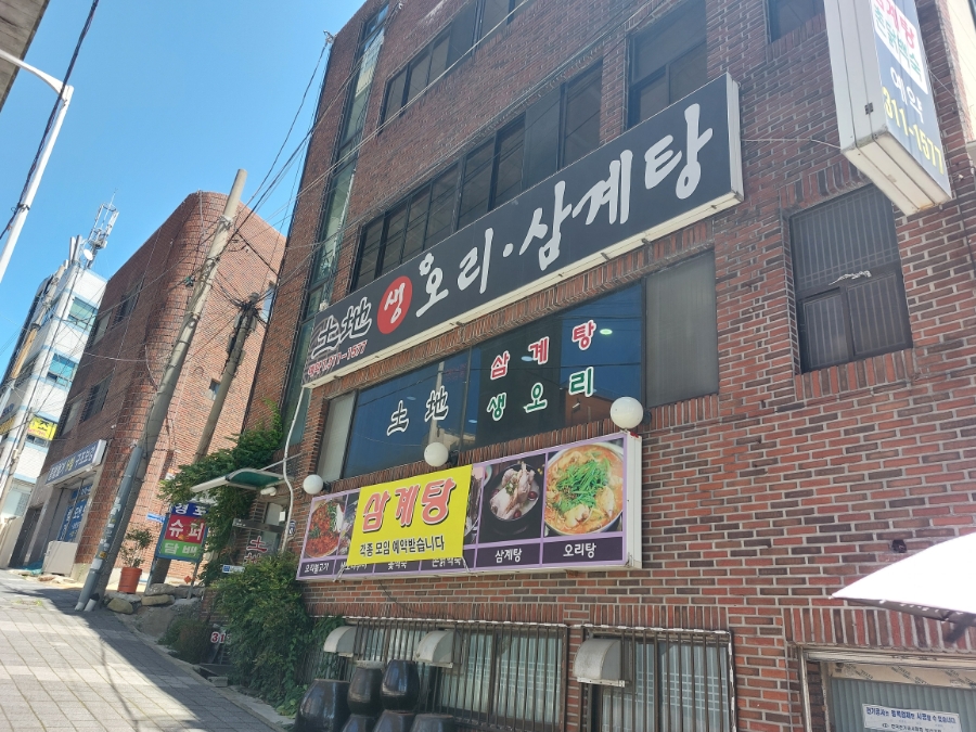 토지생오리 이미지