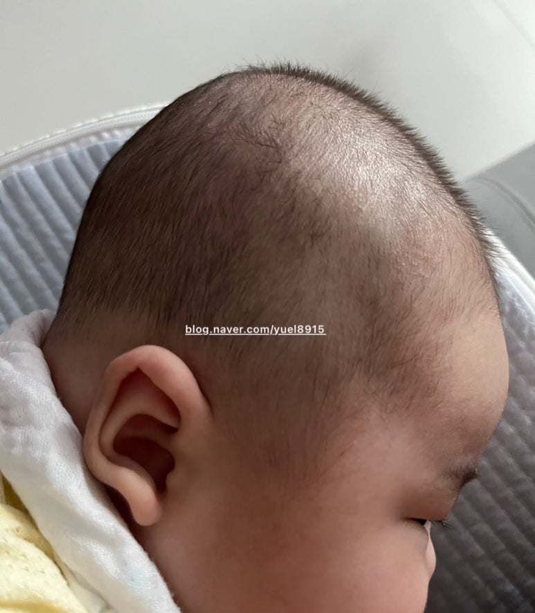 살롱드라움 이미지
