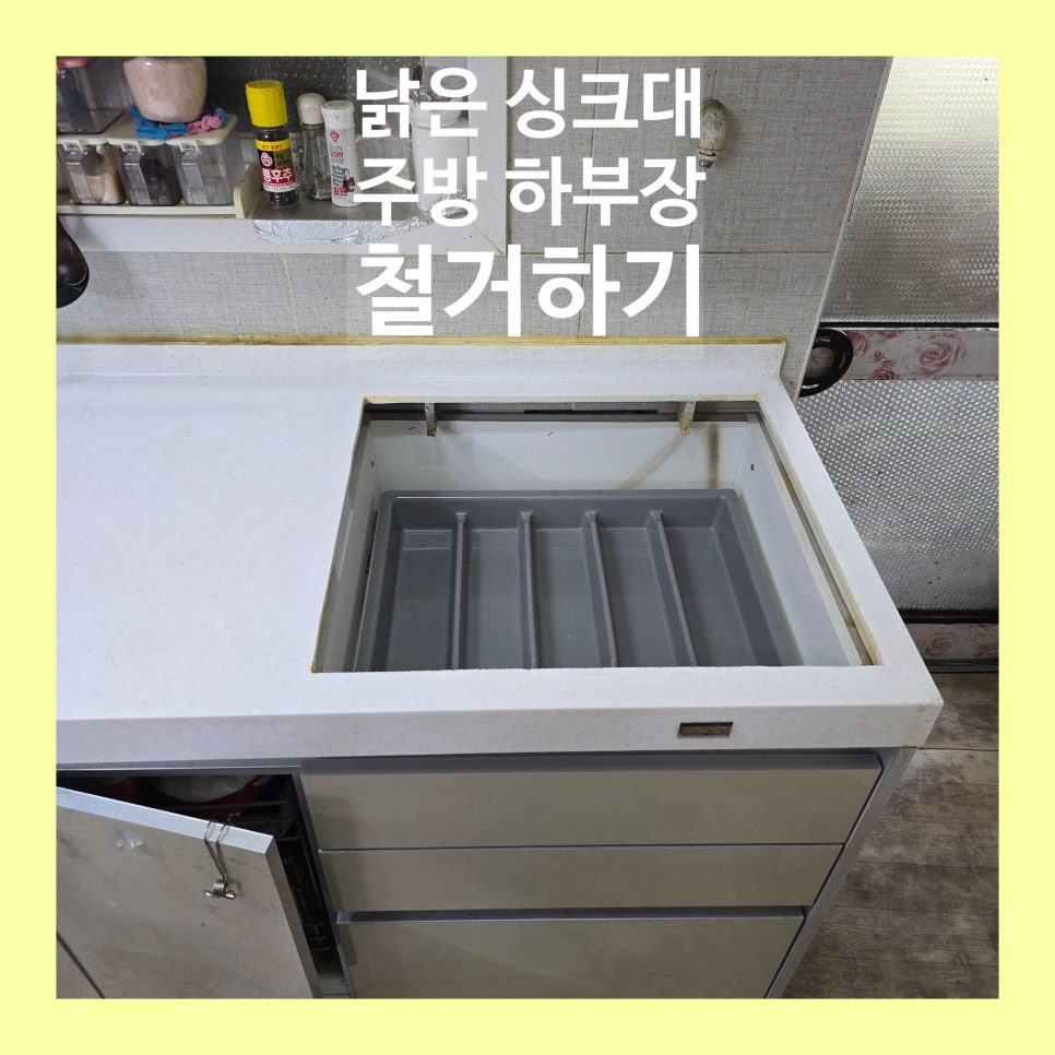 데이비드리페어 이미지
