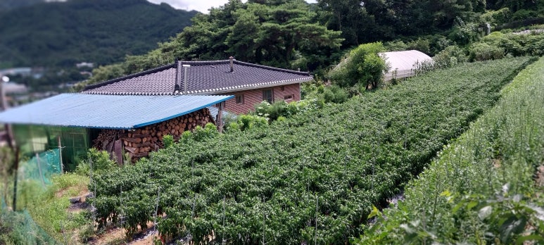 시곡상가 이미지