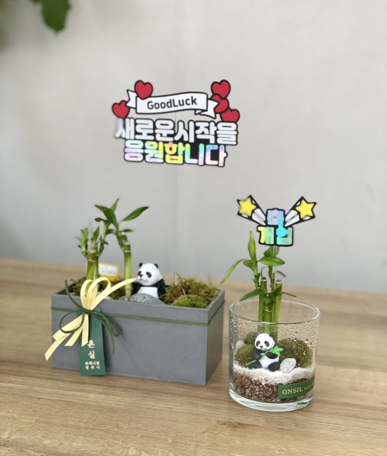 행운을전하는꽃집 이미지