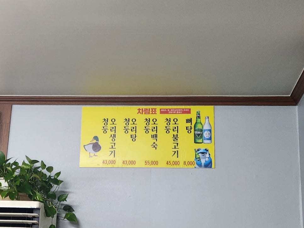 대동강오리알 이미지
