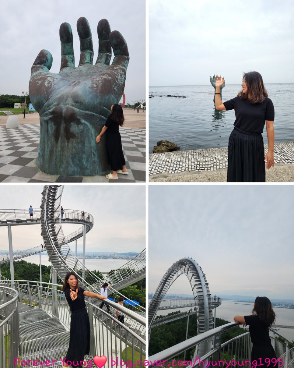 손*룡 이미지